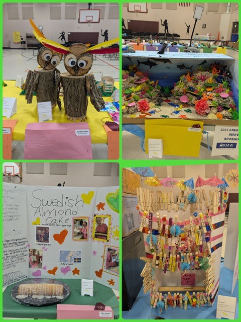 Art Display
